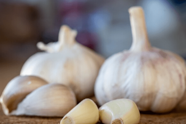 Garlic for Heart Health and Immunity