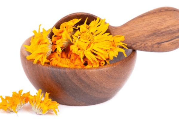 Healing Power of Calendula