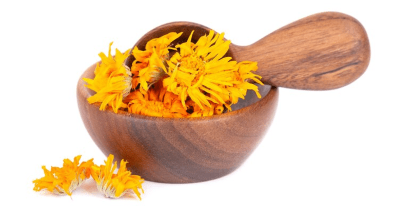 The Healing Power of Calendula: Natural Skin Healing with Calendula 