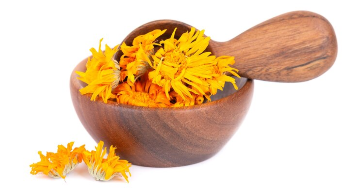 Healing Power of Calendula