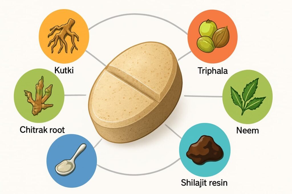 Illustration of Arogyavardhini Vati ingredients like kutki, triphala, neem, shilajit